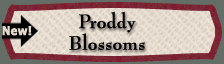 Proddy Blossoms